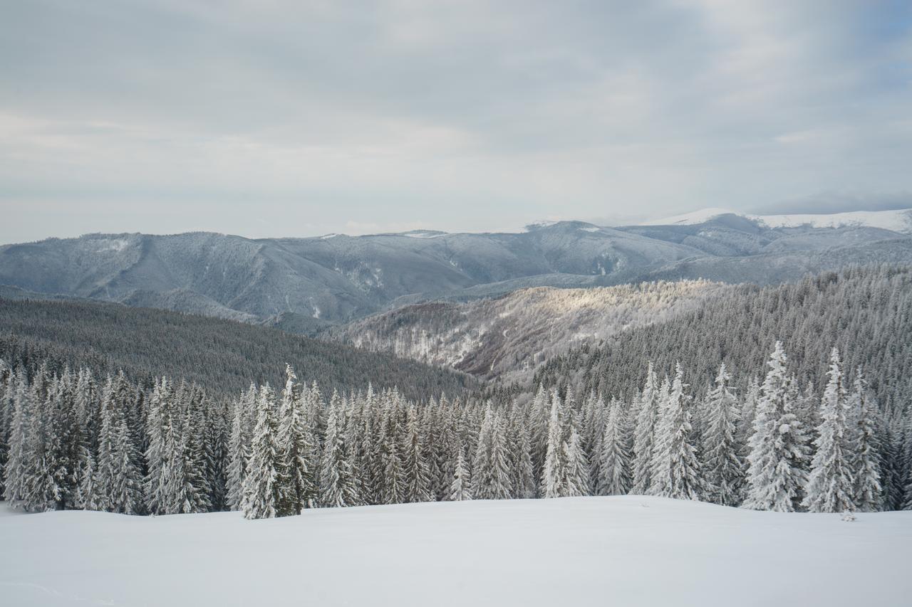 Piatra Rancii Hotel รานกา ภายนอก รูปภาพ